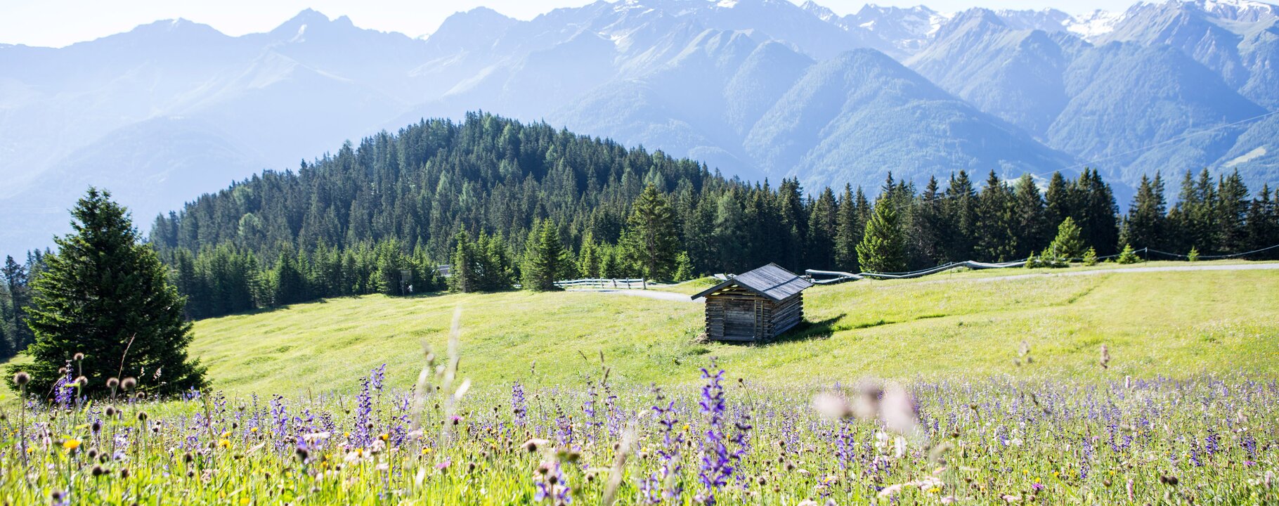 Sommer in Serfaus-Fiss-Ladis, Tirol, Österreich | © Serfaus-Fiss-Ladis Marketing GmbH | Andreas Kirschner