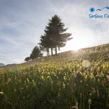 Sommerurlaub in Serfaus-Fiss-ladis in Tirol | © Serfaus-Fiss-Ladis Marketing GmbH | Andreas Kirschner