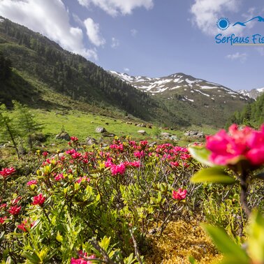 summer holiday in Serfaus-Fiss-Ladis in Tyrol | © Serfaus-Fiss-Ladis Marketing GmbH | Andreas Kirschner