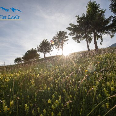 summer holiday in Serfaus-Fiss-Ladis in Tyrol | © Serfaus-Fiss-Ladis Marketing GmbH | Andreas Kirschner