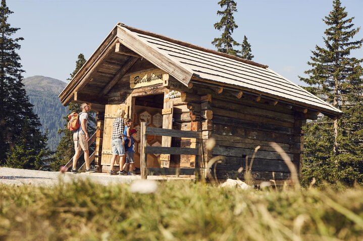 Bienenhaus Sommer