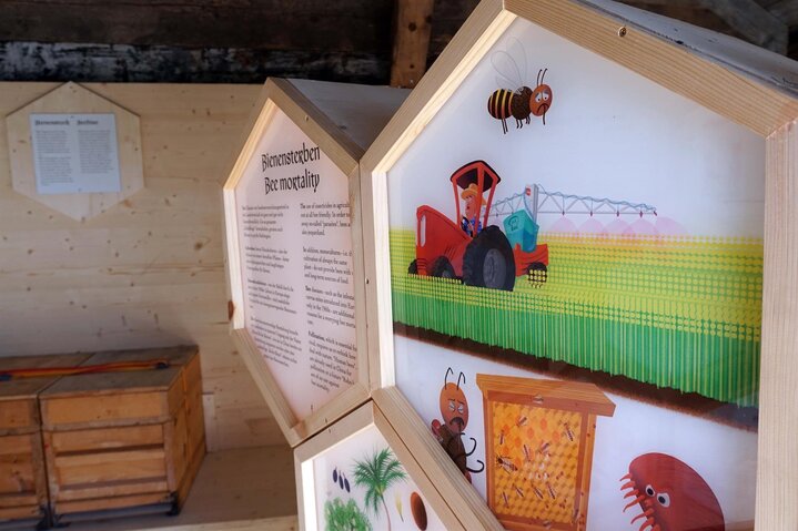 Inside the bee house