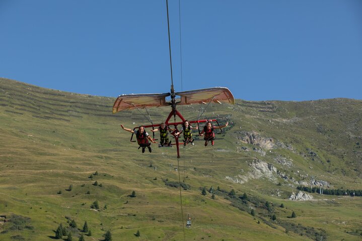 Fisser Flieger in Sommer