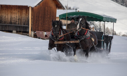 Unterwegs im Schnee