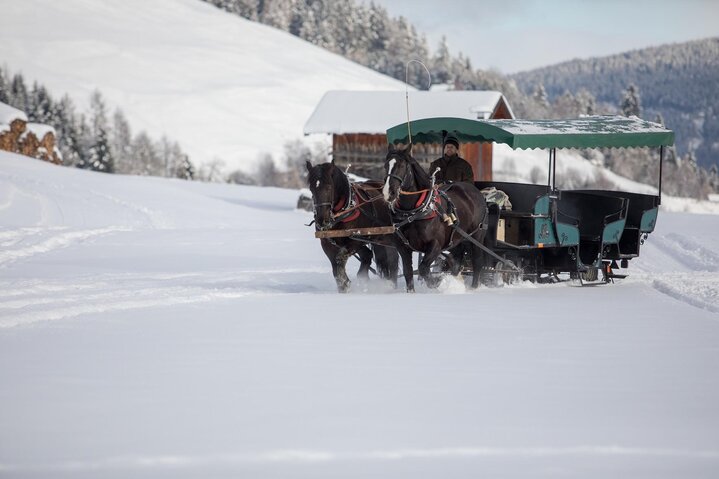 Horse-drawn carriage