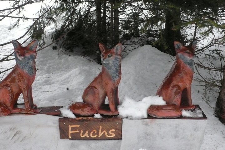 Fuchs