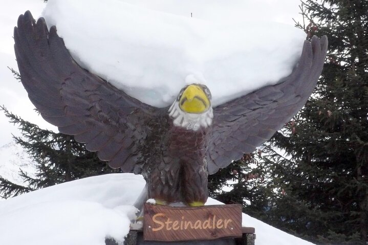 Steinadler